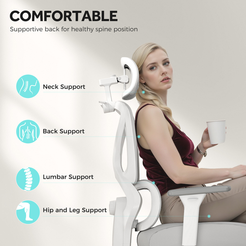 The Furniture Hubs Ergonomic Office Chair, Grey