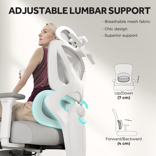 The Furniture Hubs Ergonomic Office Chair, Grey