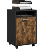 The Furniture Hubs 60cm Storage Cabinet with Drawers
